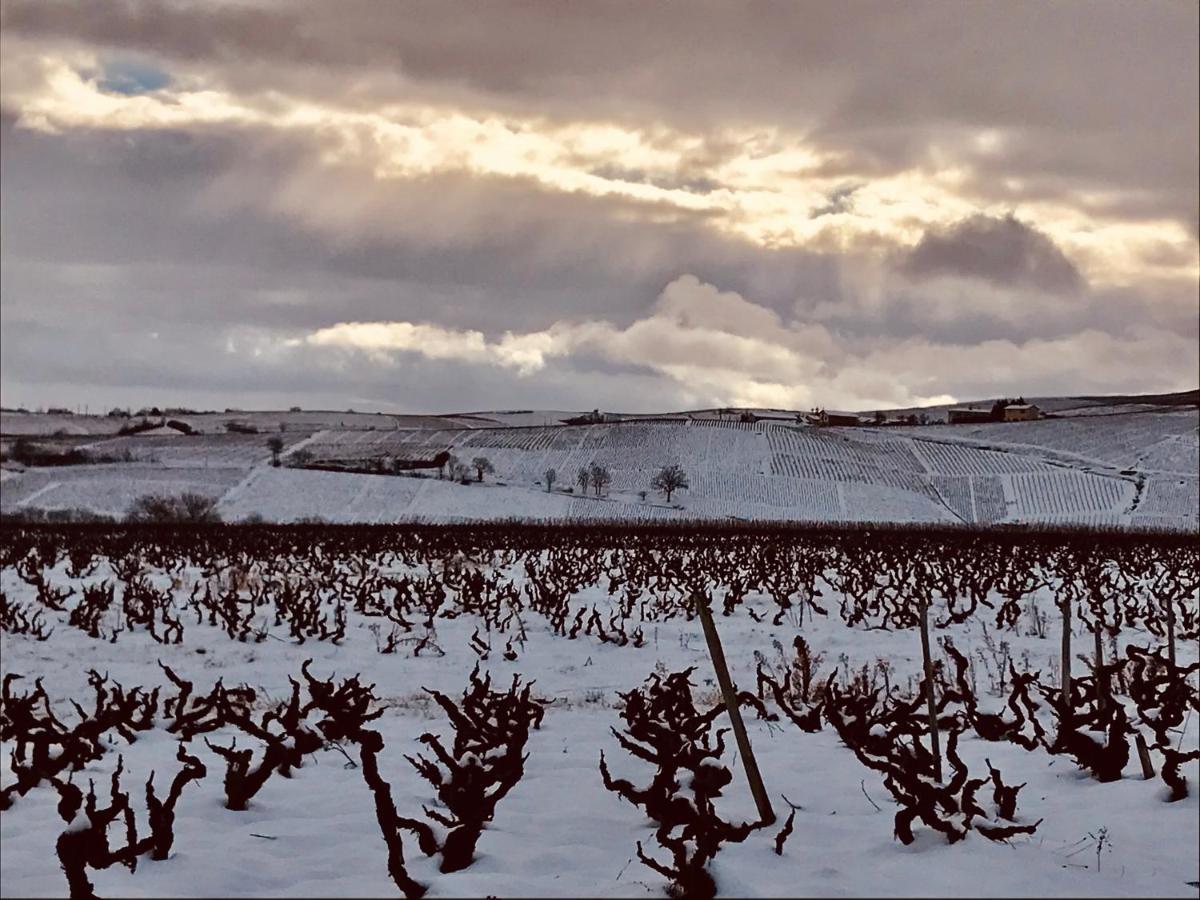 La Boheme, Gite De Charme Quincié-en-Beaujolais Exterior foto